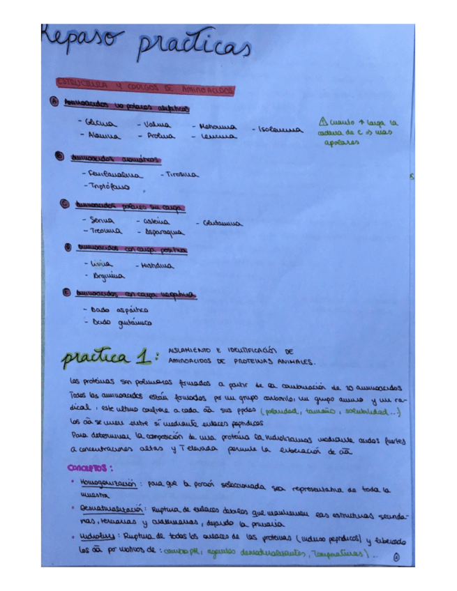 Miniatura del documento resumen-practicas-BQ.pdf