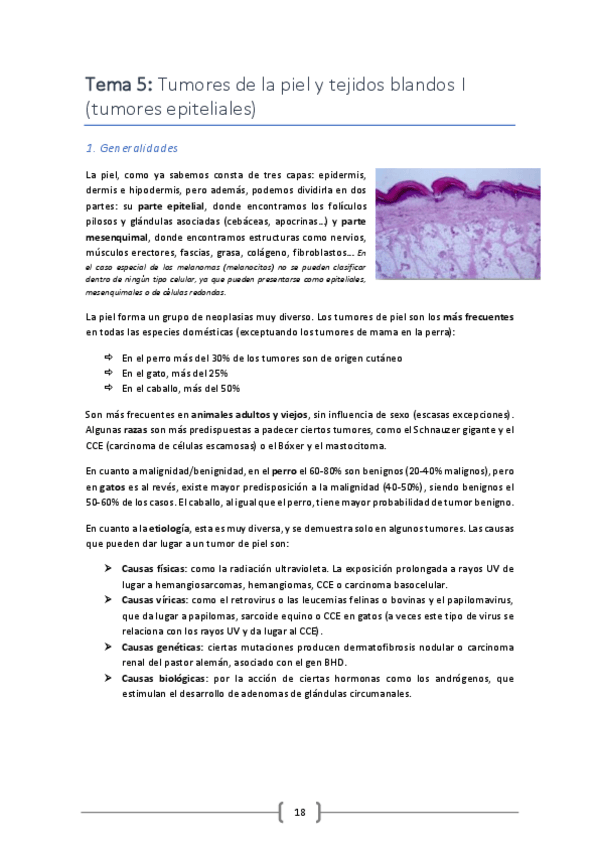 Miniatura del documento Tema-5.pdf