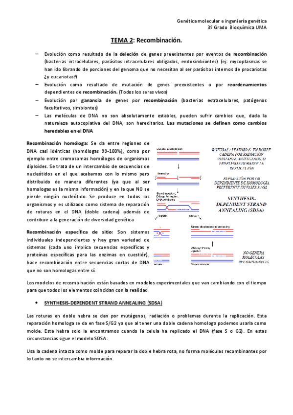Miniatura del documento Tema-2-genetica-Def.pdf