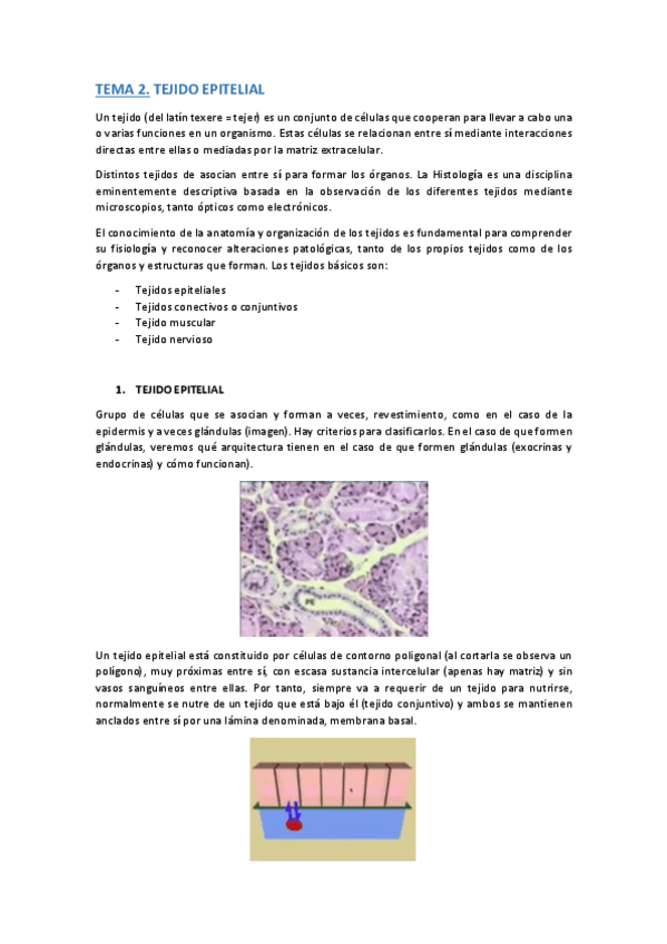 Miniatura del documento TEMA-2.pdf