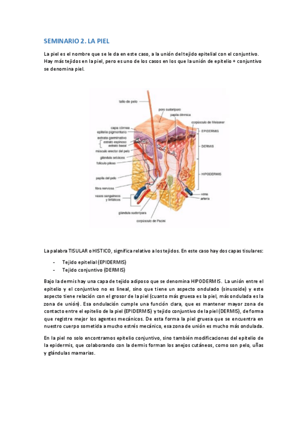 Miniatura del documento Seminario-2.pdf