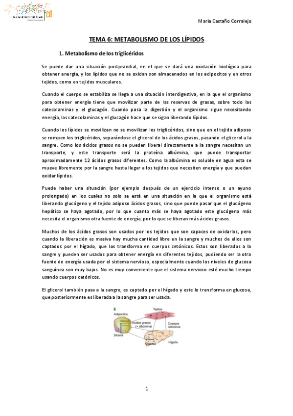 Miniatura del documento TEMA-6-NUTRICION-Y-DEPORTE.pdf