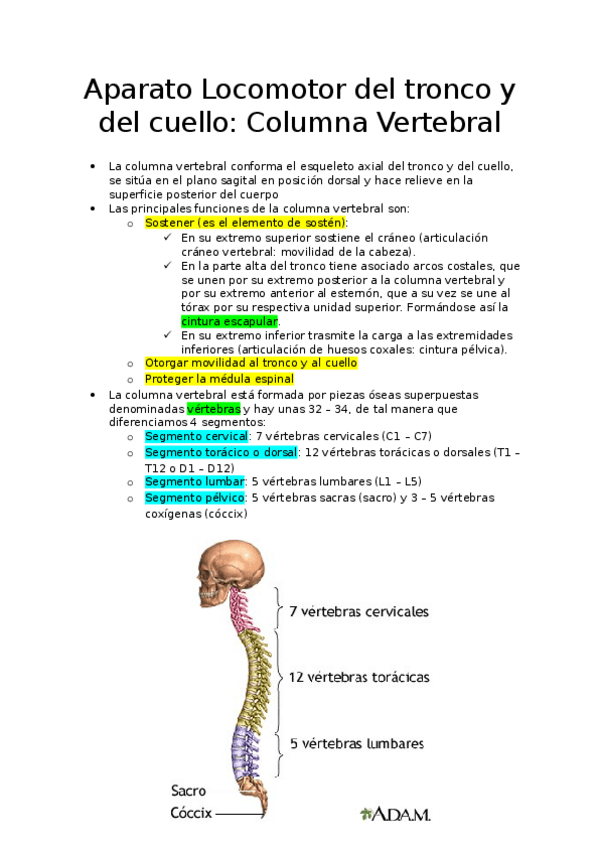 Miniatura del documento APUNTES-ANATOMIA-I-2.docx