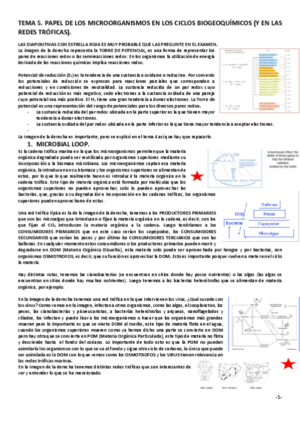 Miniatura del documento TEMA-5.pdf