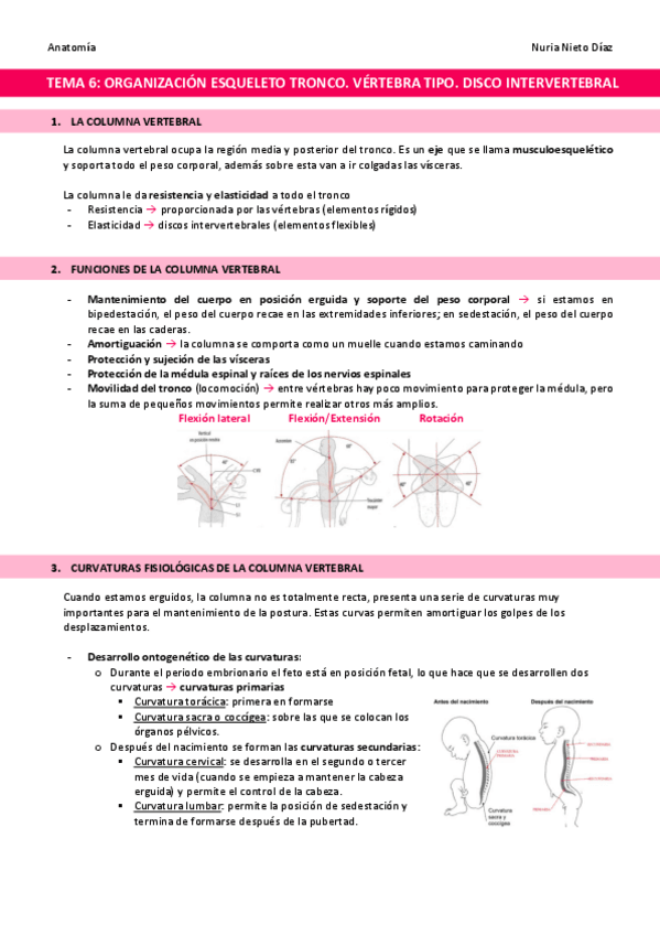 Miniatura del documento TEMA-6-Esqueleto-del-tronco.pdf