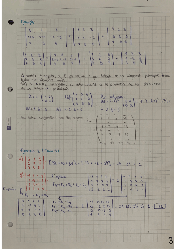 Miniatura del documento Ejercicios-Mates-I.pdf