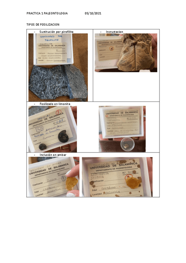 Miniatura del documento PRACTICA-1.pdf