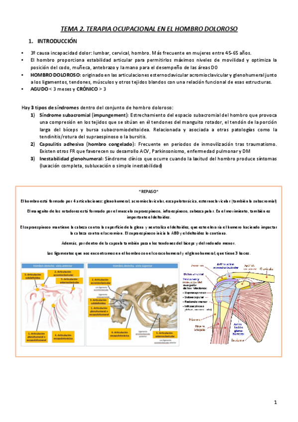 Miniatura del documento T2.pdf