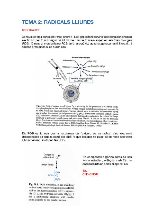Miniatura del documento TEMA-2-BQ.pdf