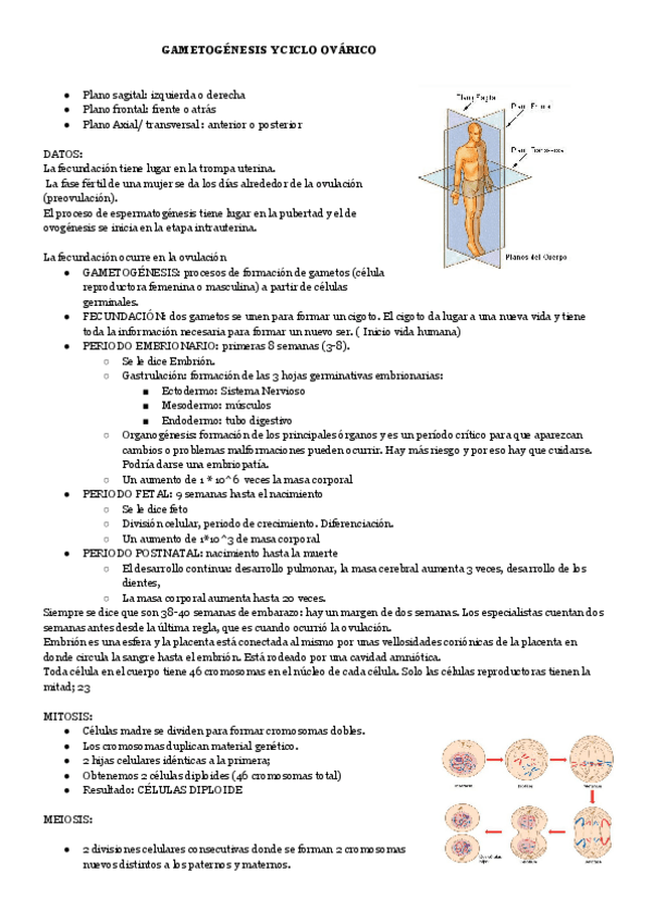 Miniatura del documento 1.pdf