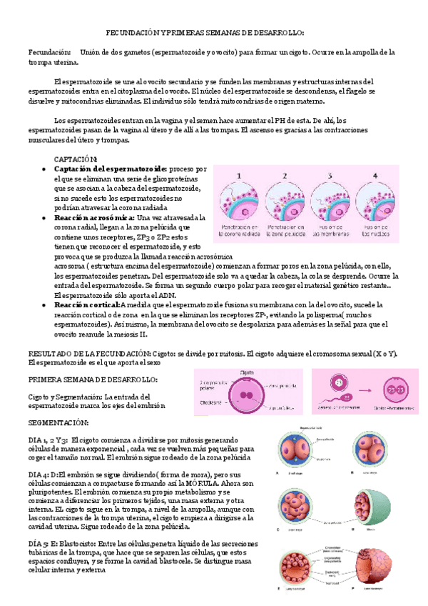 Miniatura del documento 1.pdf