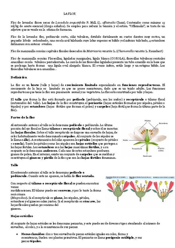 Miniatura del documento LA-FLOR-limpio.pdf