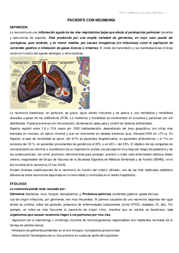Miniatura del documento 13.pdf