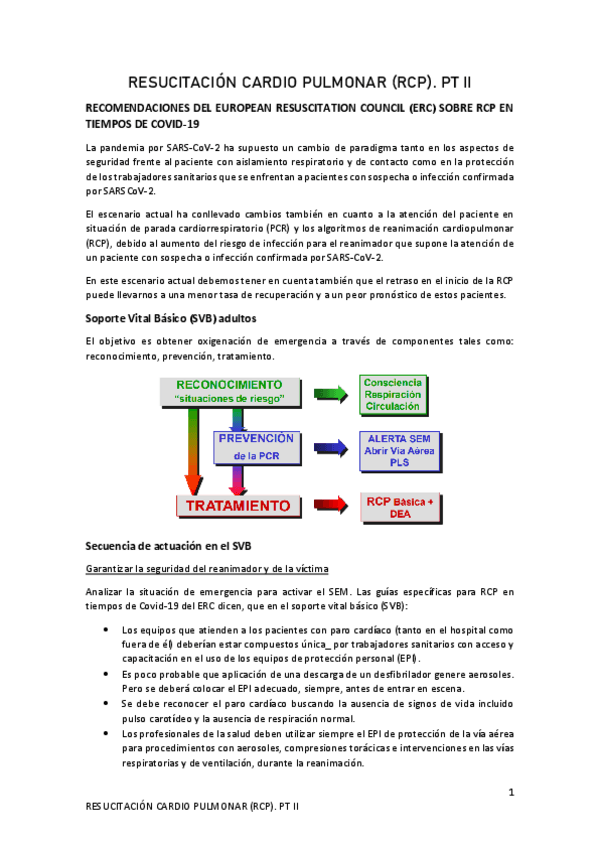 Miniatura del documento 2-RCP-2020-21.pdf
