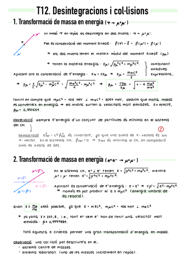 Miniatura del documento T12-Desintegracions-i-collisions.pdf