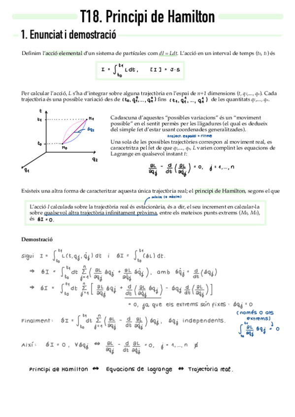 Miniatura del documento T18-Principi-de-Hamilton.pdf