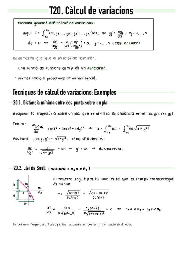 Miniatura del documento T20-Calcul-de-variacions.pdf