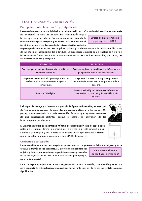 Miniatura del documento percepcion-tema-1.pdf