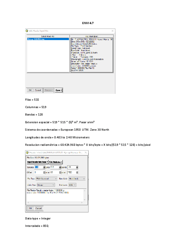 Miniatura del documento geomCHULETACOMANDOSENVILiDAR.pdf