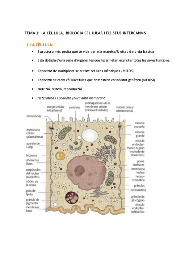 Miniatura del documento Unitat-1.pdf
