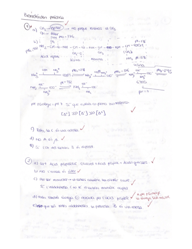 Miniatura del documento exercicis-biomolecules.pdf