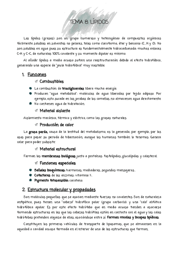 Miniatura del documento TEMA-8-pdf.pdf