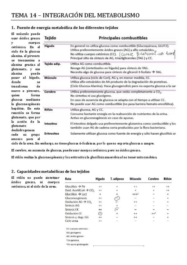 Miniatura del documento Tema-14-Integracion-del-metabolismo-1.pdf