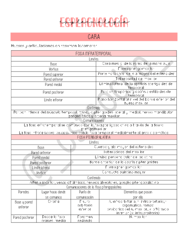 Miniatura del documento E1-FOSAS-CRANEO.pdf
