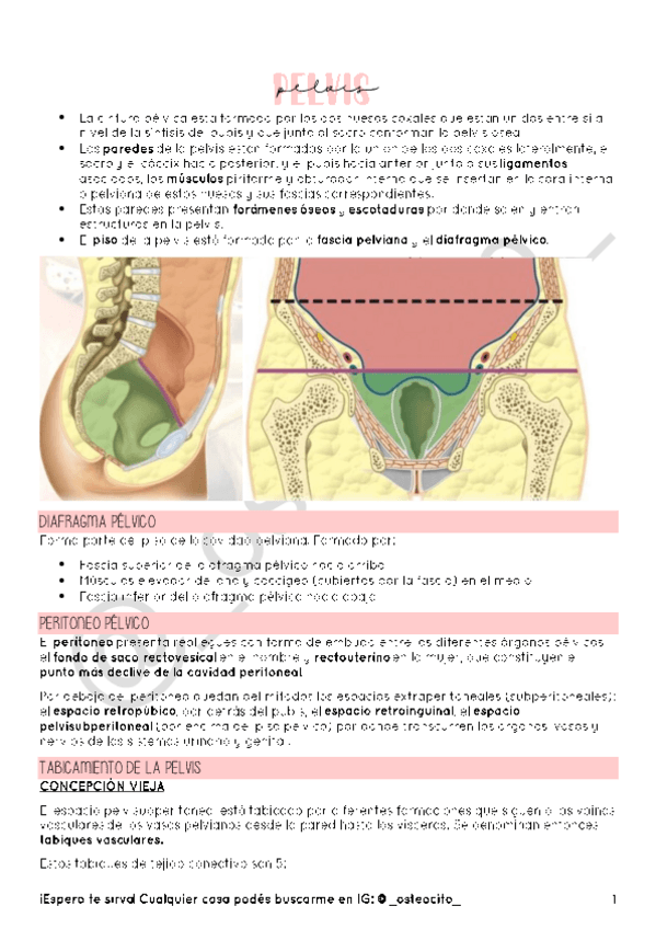 Miniatura del documento TP8.pdf