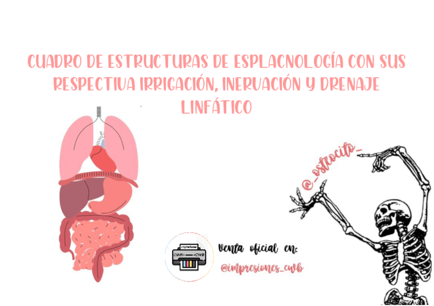 Miniatura del documento ESTRUCTURA-CON-IRR-E-IN-final.pdf