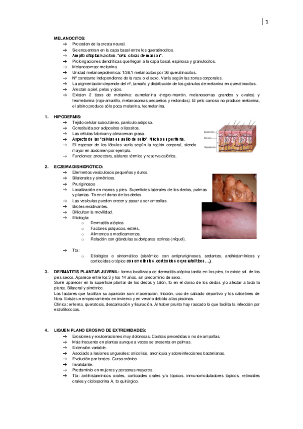 Miniatura del documento recopilacion derma.pdf