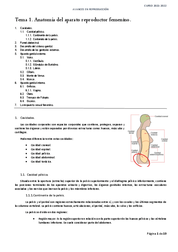 Miniatura del documento Tema-1.pdf