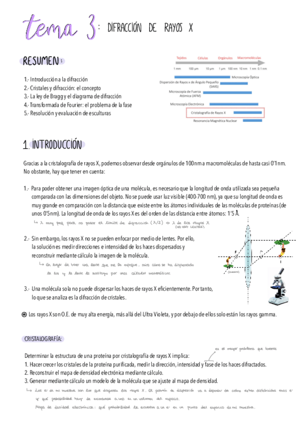 Miniatura del documento Estructura-De-Macromolec-T3.pdf