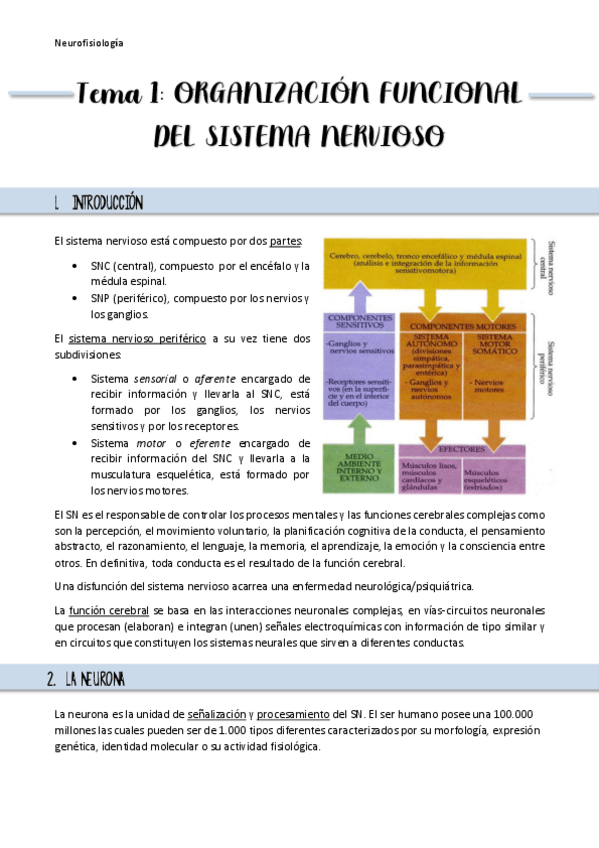 Miniatura del documento Resumen-Tema-1.pdf