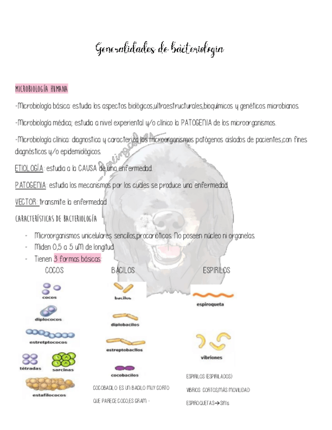 Miniatura del documento Generalidades-de-bacteriologia.pdf