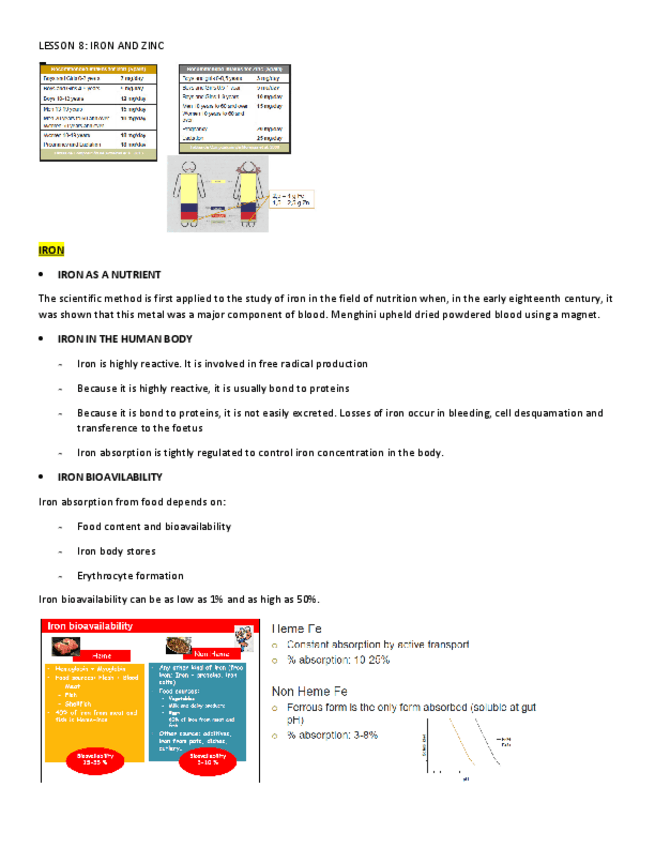 Miniatura del documento LESSON-8.pdf