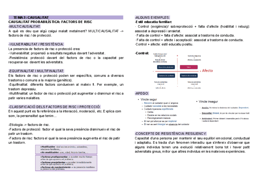 Miniatura del documento TEMA-2-CAUSALITAT.pdf