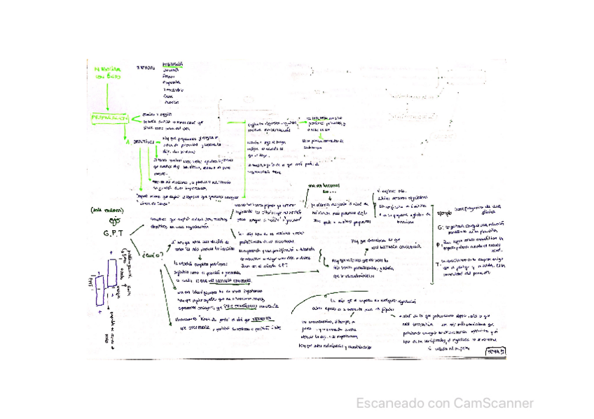 Miniatura del documento CamScanner-06-04-2021-11.pdf