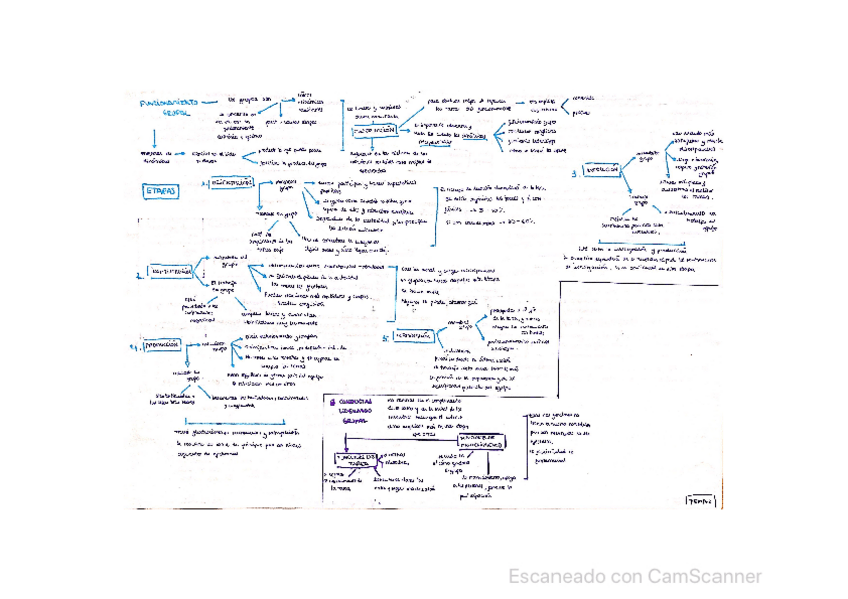 Miniatura del documento CamScanner-06-04-2021-10.pdf