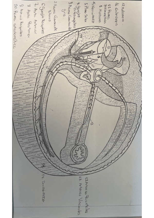 Miniatura del documento metamero-.pdf