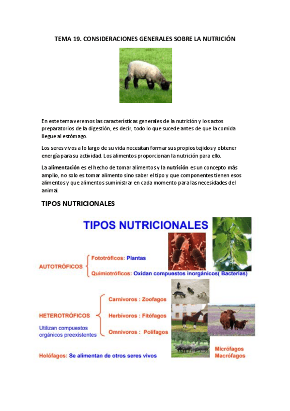 Miniatura del documento TEMA-19.pdf