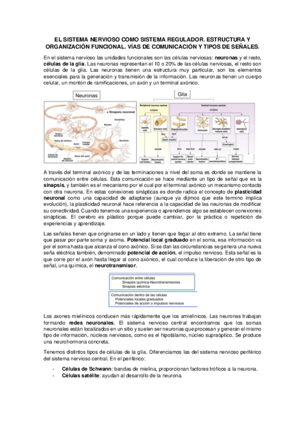 Miniatura del documento Introduccion-a-la-fisiologia-del-sistema-nervioso.pdf