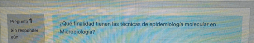Miniatura del documento PREGUNTAS-MICRO-ONLINE-2020-ENERO.pdf
