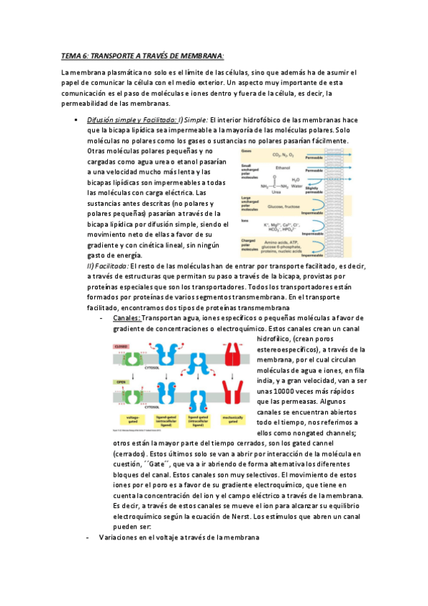 Miniatura del documento TEMA 6.pdf