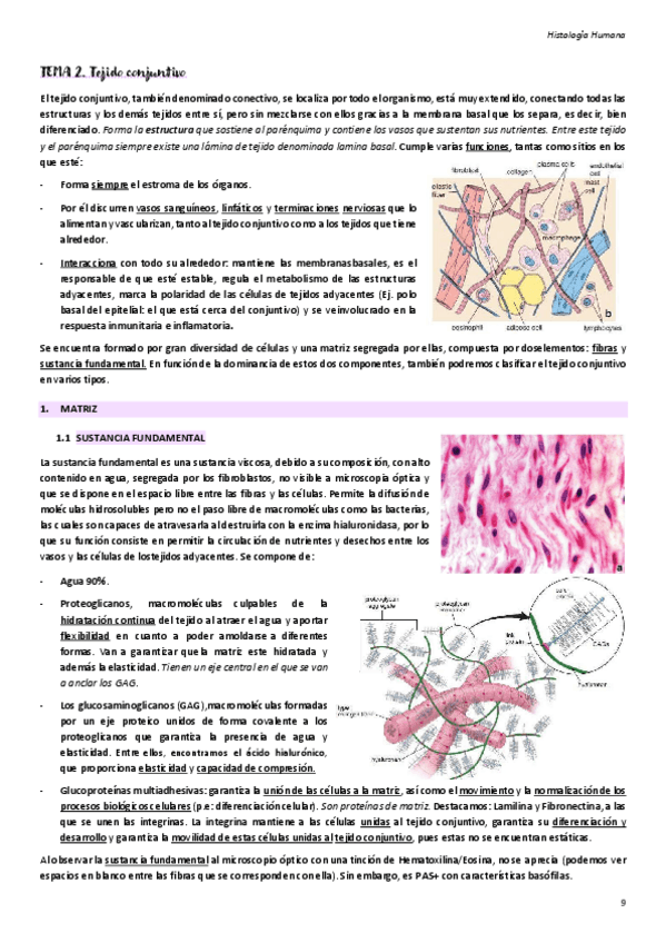 Miniatura del documento Tema-2.pdf
