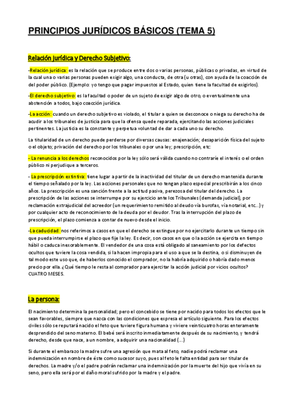 Miniatura del documento PRINCIPIOS-JURIDICOS-BASICOS-TEMA-5-1.pdf