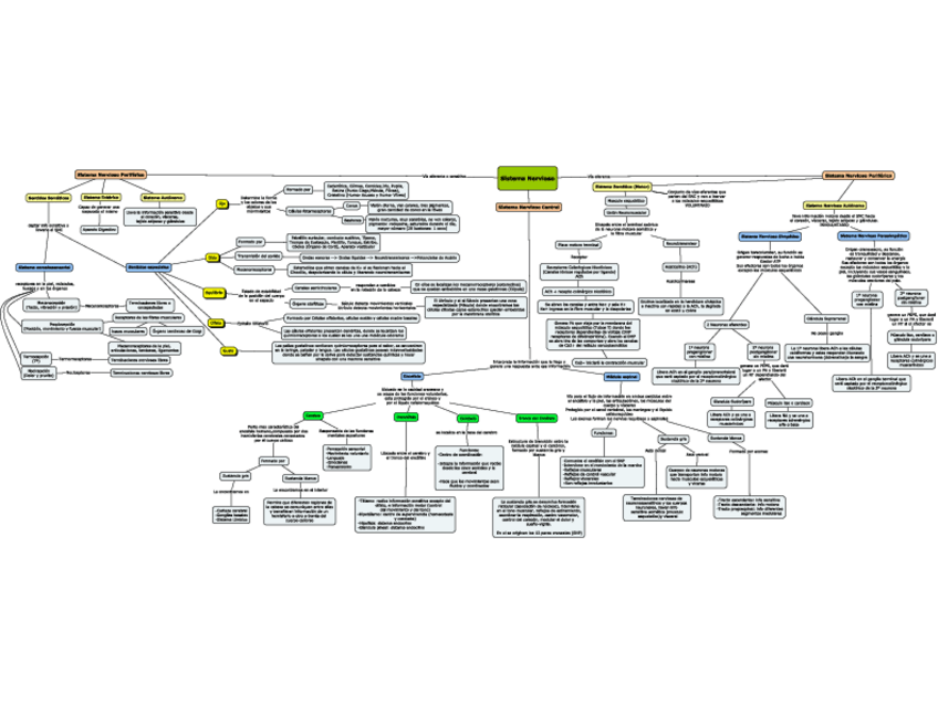 Miniatura del documento Sistema Nervioso (Esquema).pdf