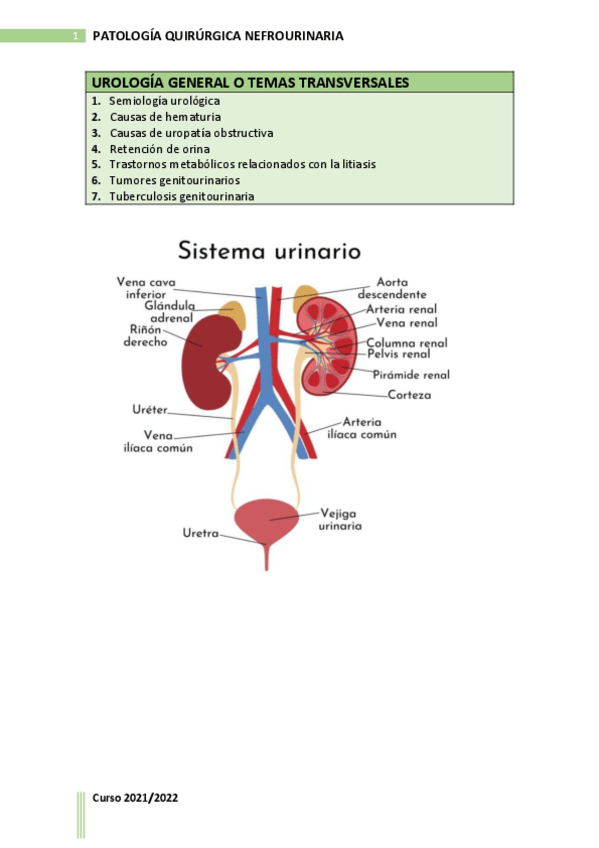 Miniatura del documento PRIMER-BLOQUE.pdf