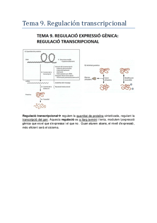 Miniatura del documento Tema-9.pdf