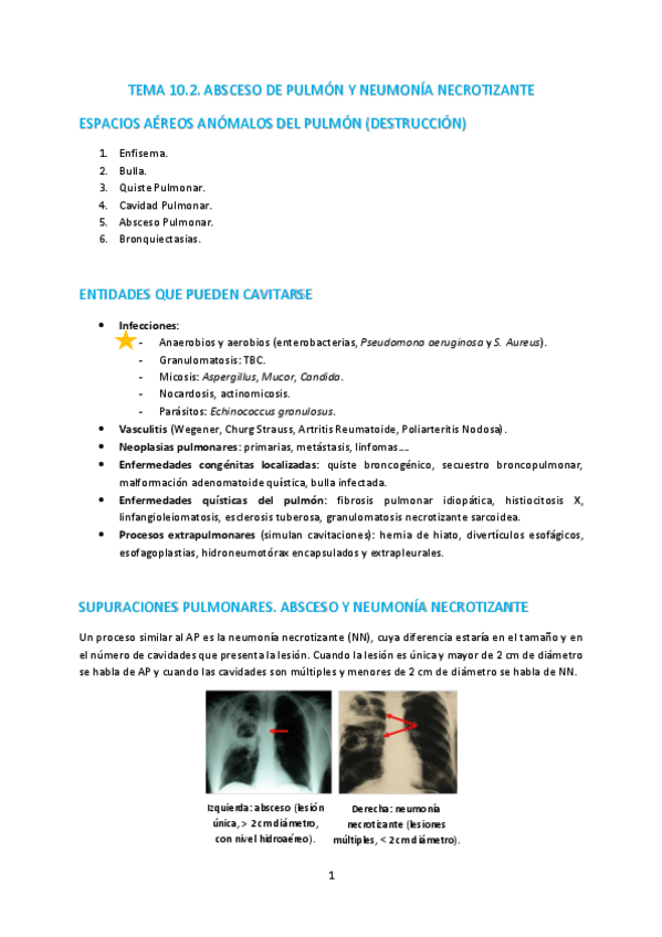 Miniatura del documento T10-2-Absceso-y-neumonia-necotizante.pdf